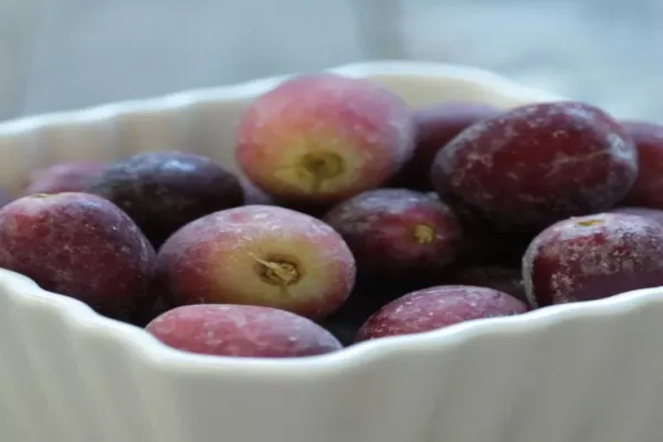 Frosted Grapes